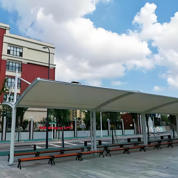 Сѧ�ſڵȺ��� 