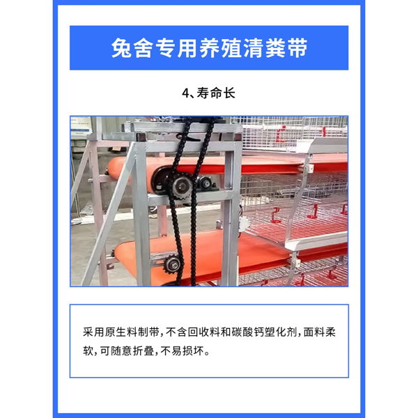 ����ר����ֳ���� 