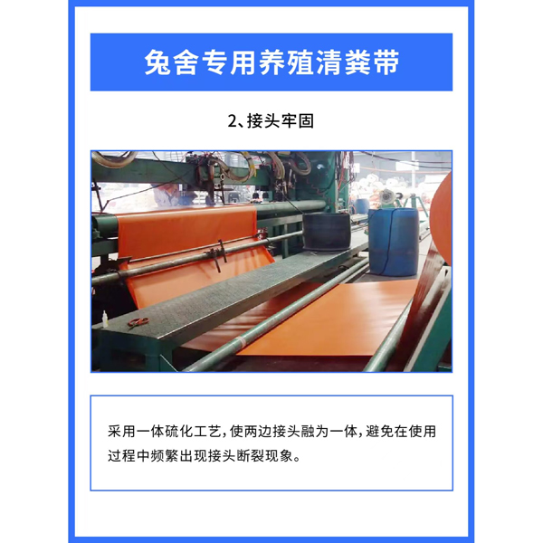 ����ר����ֳ���� 