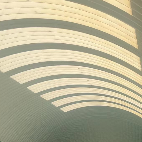 ��Ĥ��/�������� 